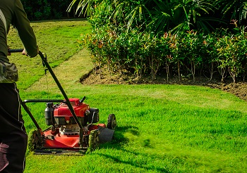 garden maintenance services by grass scorpions